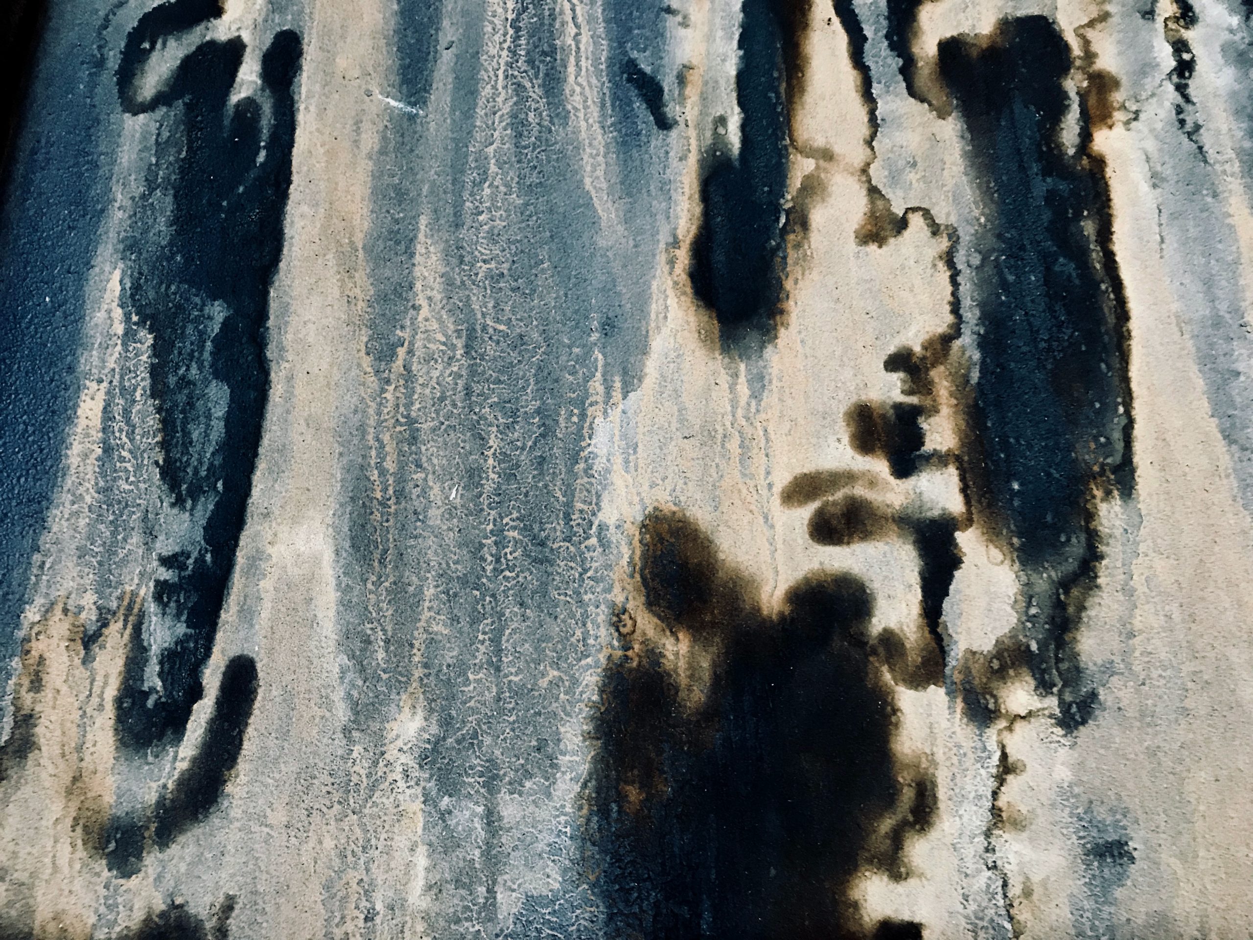 Feuchtigkeit und Schimmel